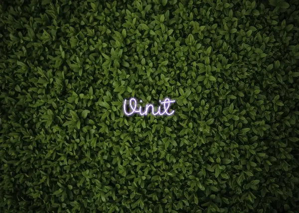 Vinit