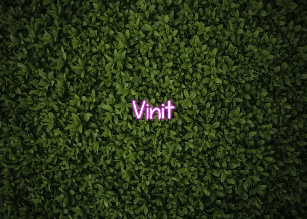 Vinit