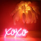 XOXO Night Lights (5x12 inches)