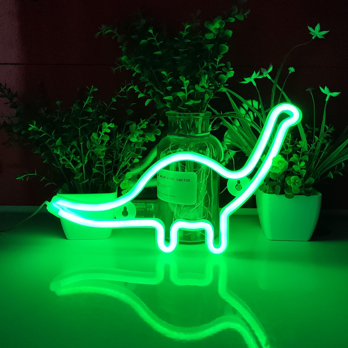 Dinosaur Neon Signs (16x10 inches)