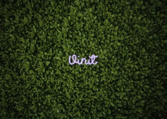 Vinit