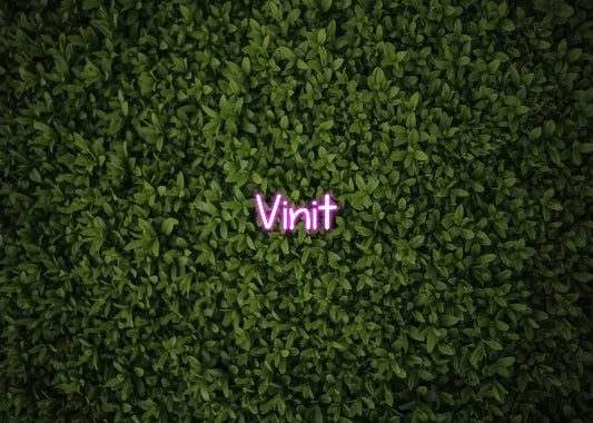 Vinit