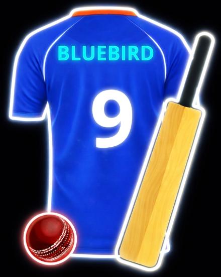 BLUEBIRD Cricket 3*2.3ft