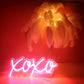XOXO Night Lights (5x12 inches) Neonsignsindia
