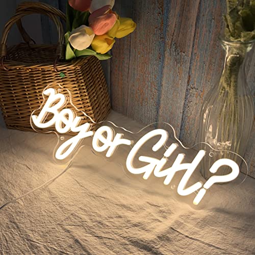 Boy or Girl Neon Sign 15x6 Inches