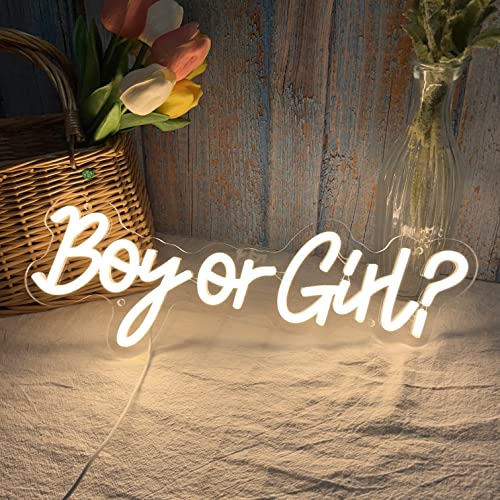 Boy or Girl Neon Sign 15x6 Inches