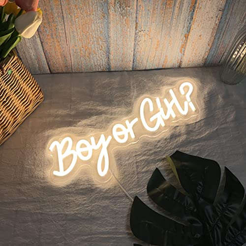 Boy or Girl Neon Sign 15x6 Inches Neonsignsindia