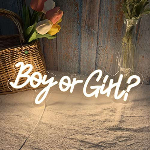 Boy or Girl Neon Sign 15x6 Inches Neonsignsindia